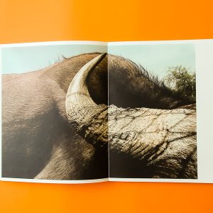 un livre ouvert sur fond orange et sur les deux pages une image d'un éléphant
