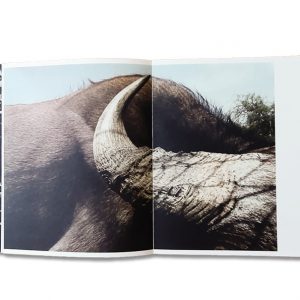 ZONE SENSIBLE – Image 7