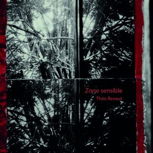 livre "zone sensible" de théo renaut