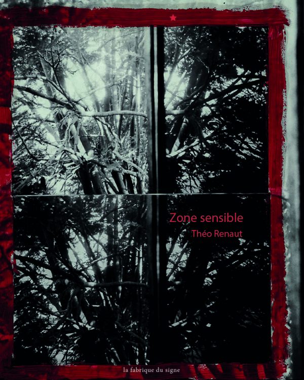 livre "zone sensible" de théo renaut