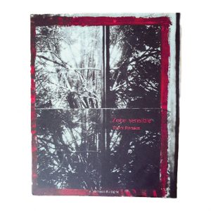 livre "zone sensible" de théo renaut sur fond blanc